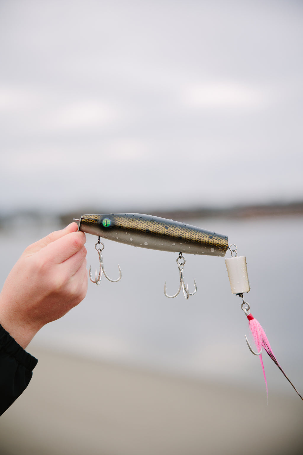 Jointed bunker colored fishing lure held by a hand against a blurred beach background.